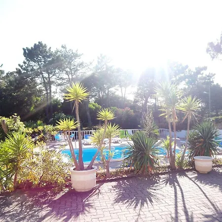 Schoenes In Mit Privatem Pool By Interhome Dom wakacyjny